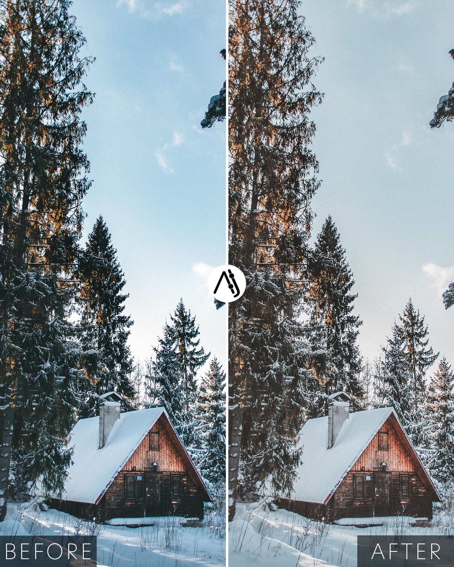 Cozy Winter
