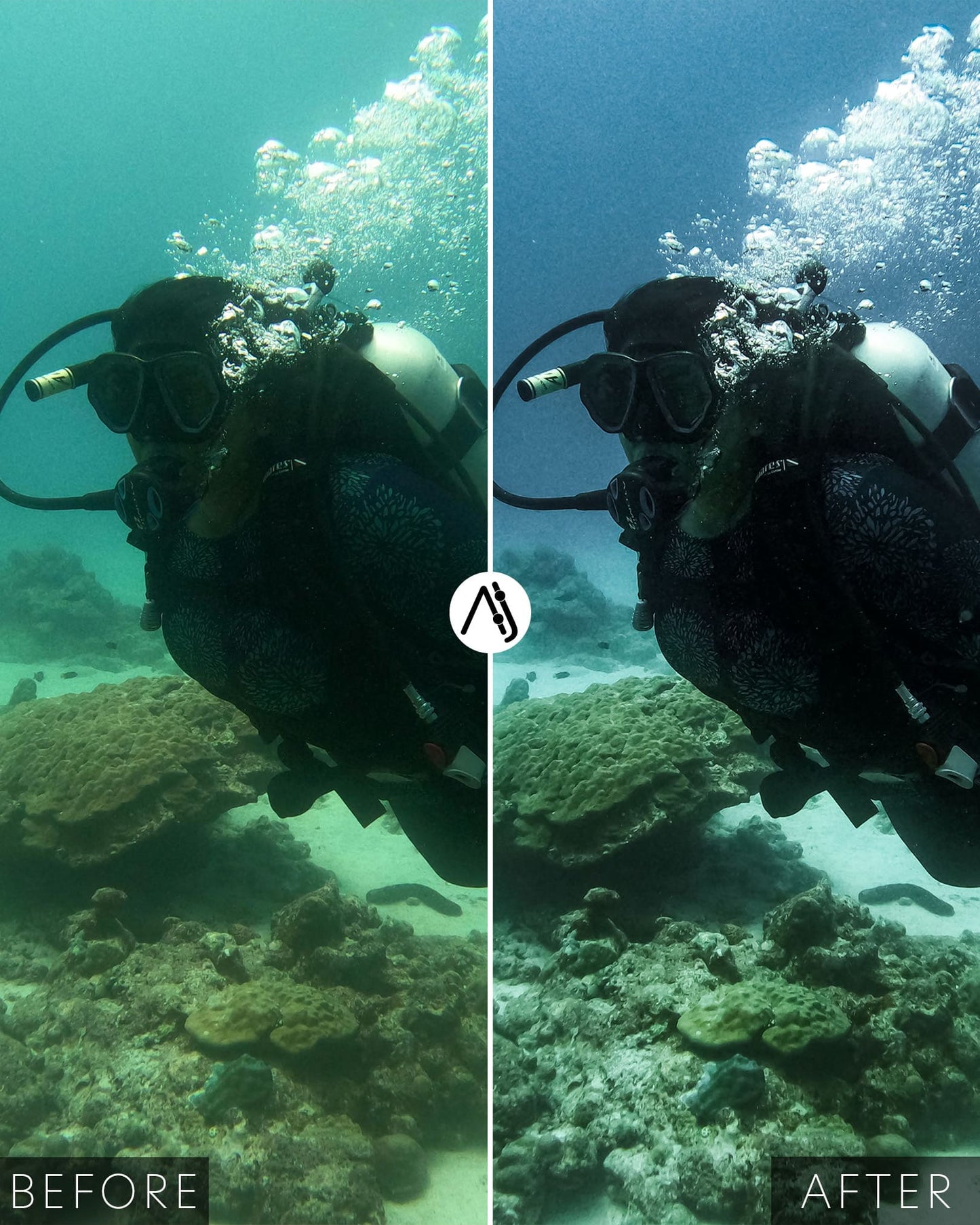 Matte Dive