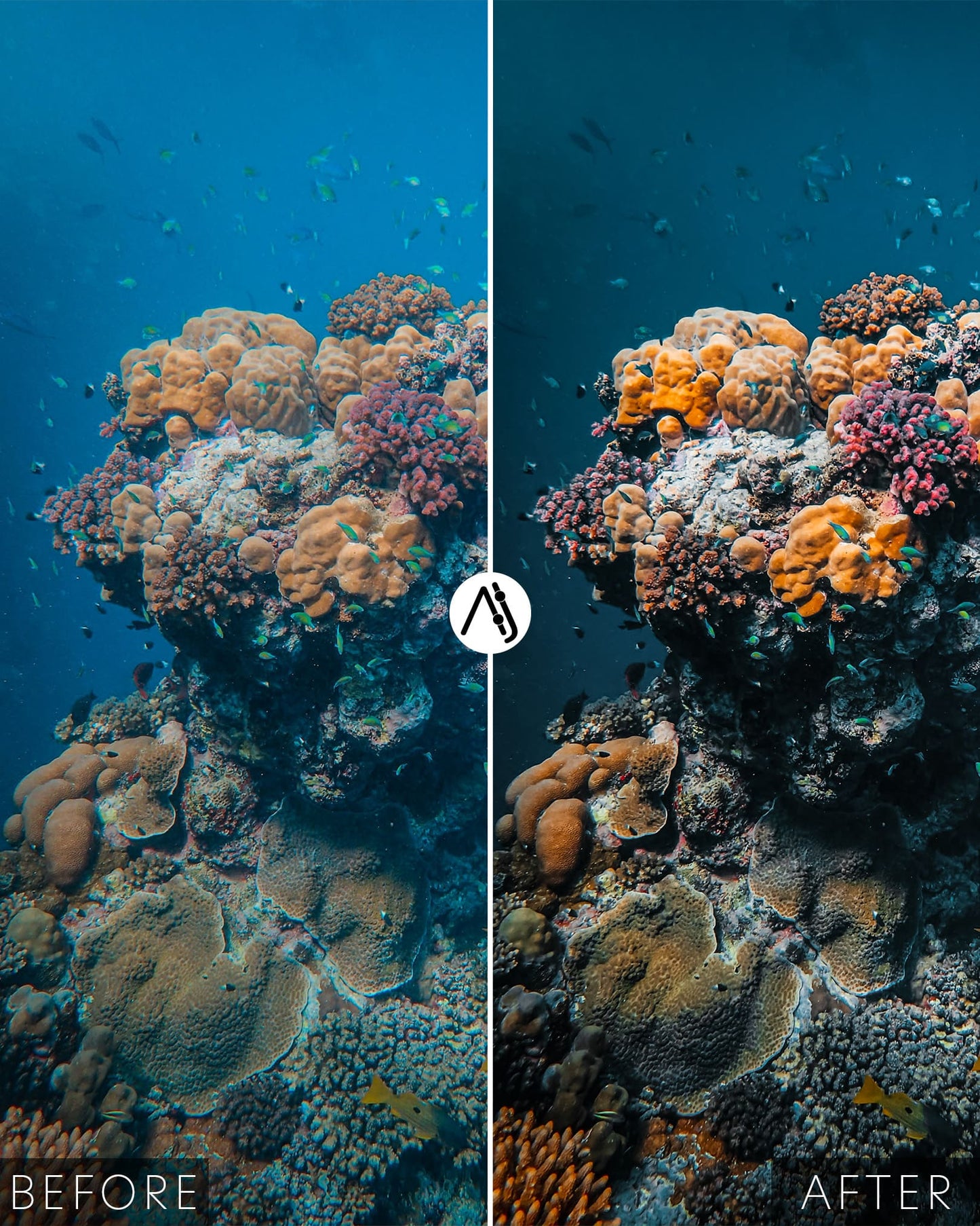 Ocean Bundle
