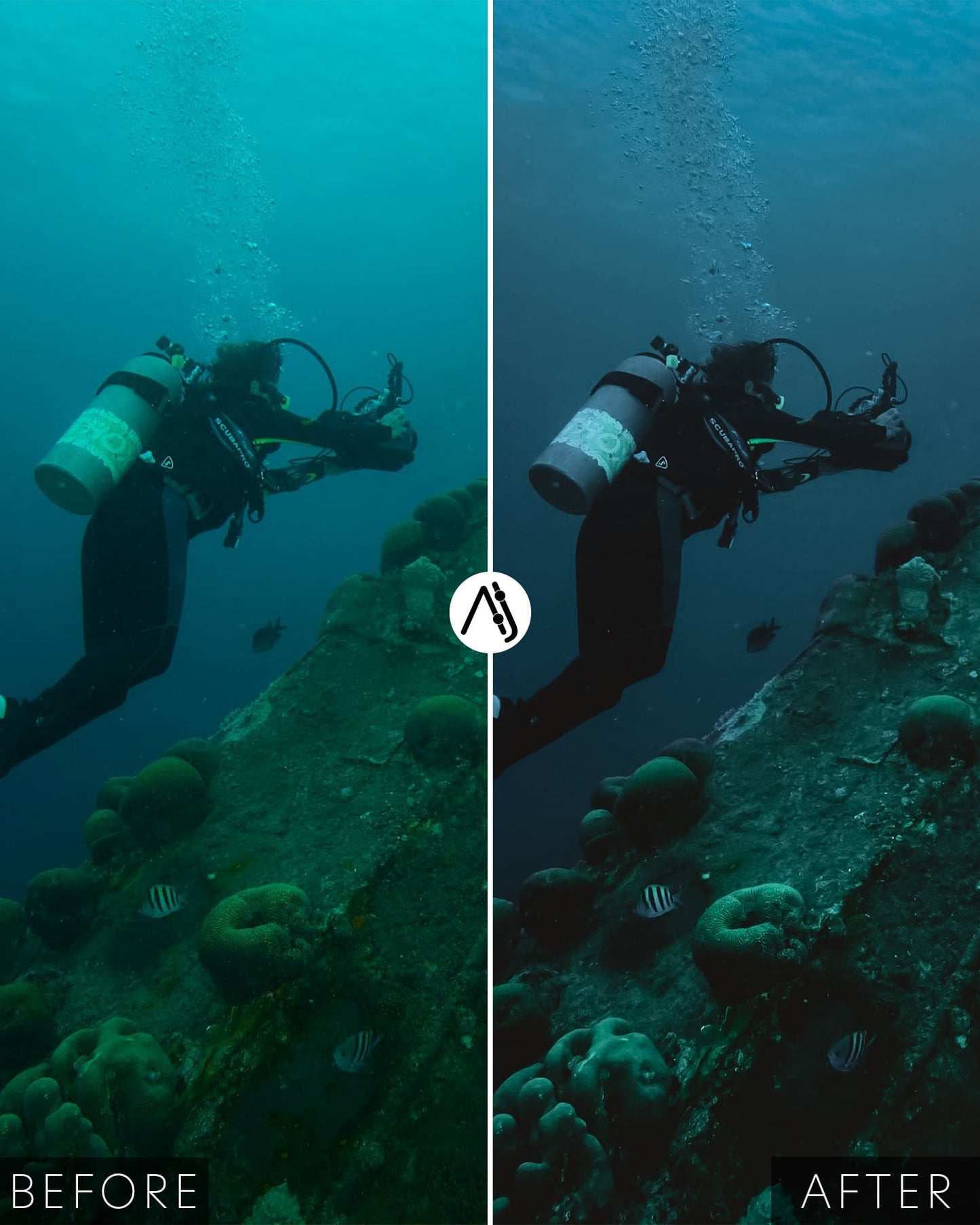 Matte Dive