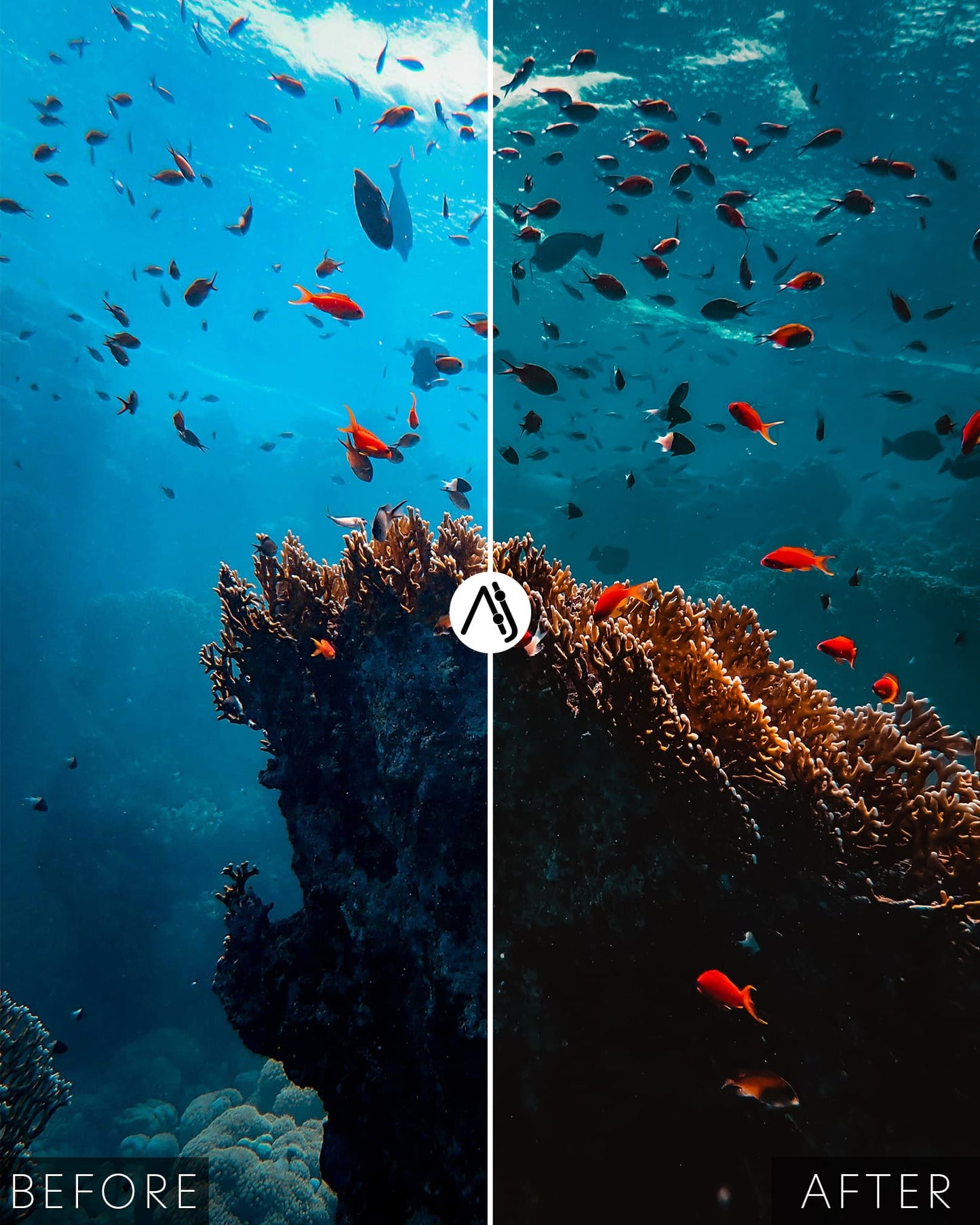 Matte Dive