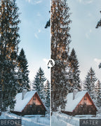Cozy Winter