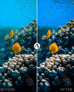 Underwater Bundle Vol.2