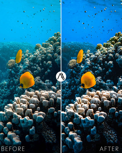 Underwater Bundle Vol.2