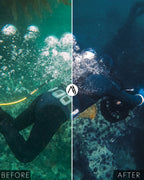 Matte Dive