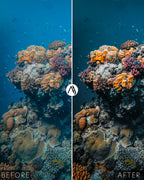 Underwater Bundle Vol.2