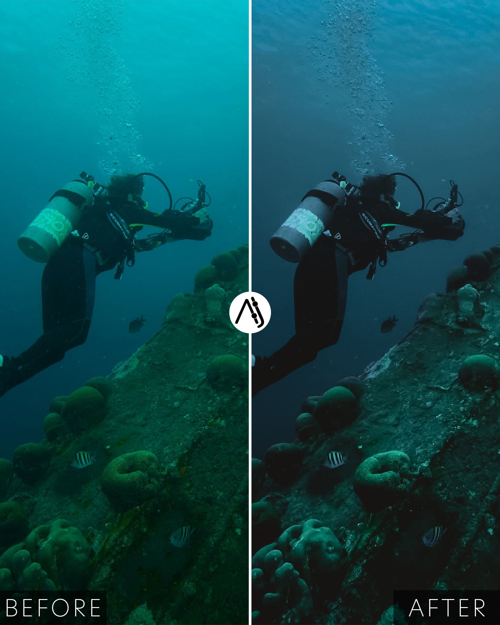 Matte Dive