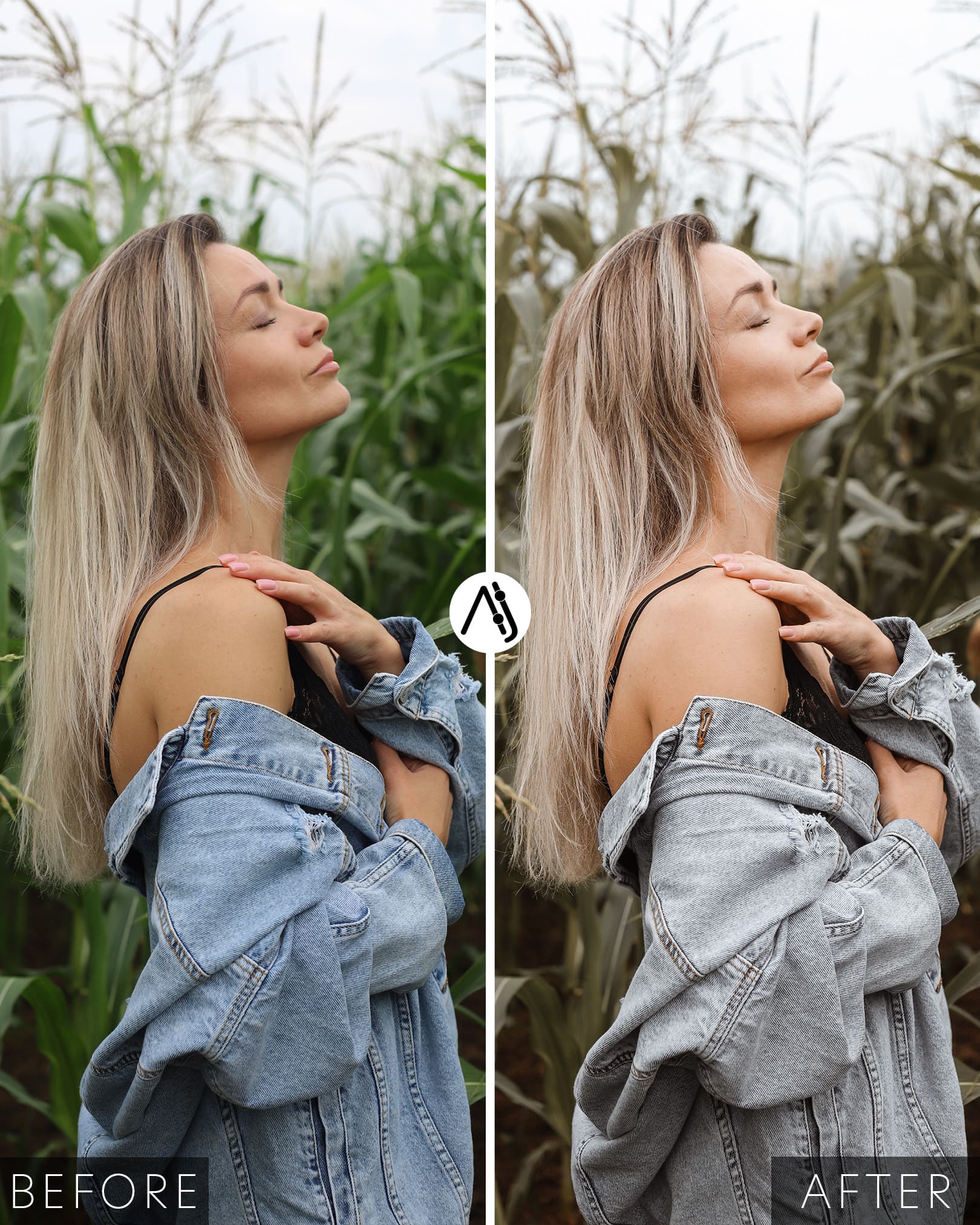 Influencer Bundle
