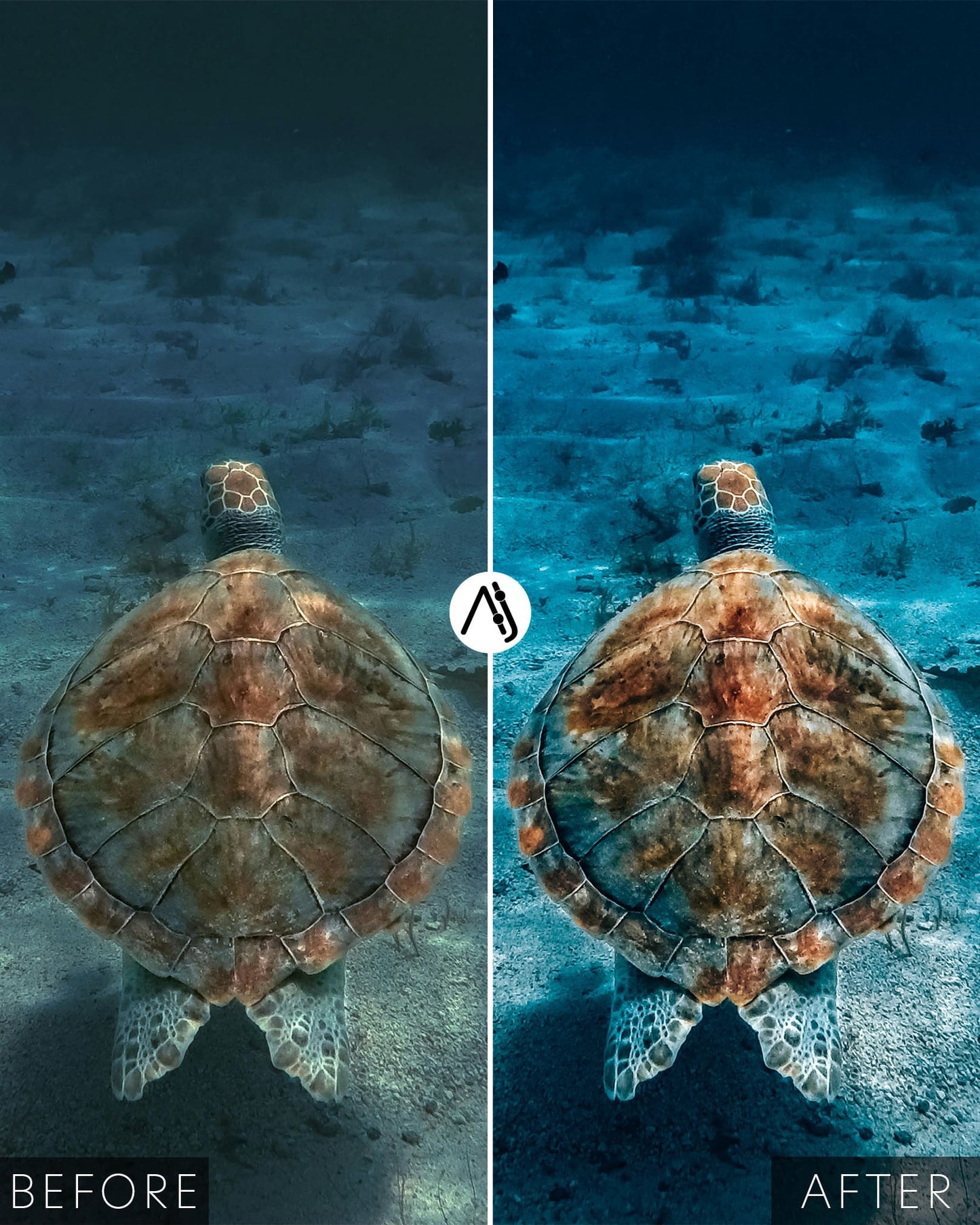 Underwater