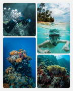 Collage of underwater scenes with snorkeling and coral reefs edited with the underwater toolkit to fix green water and add clarity