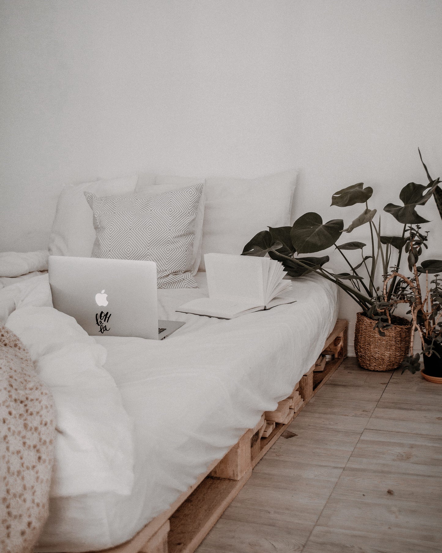 Influencer Bundle