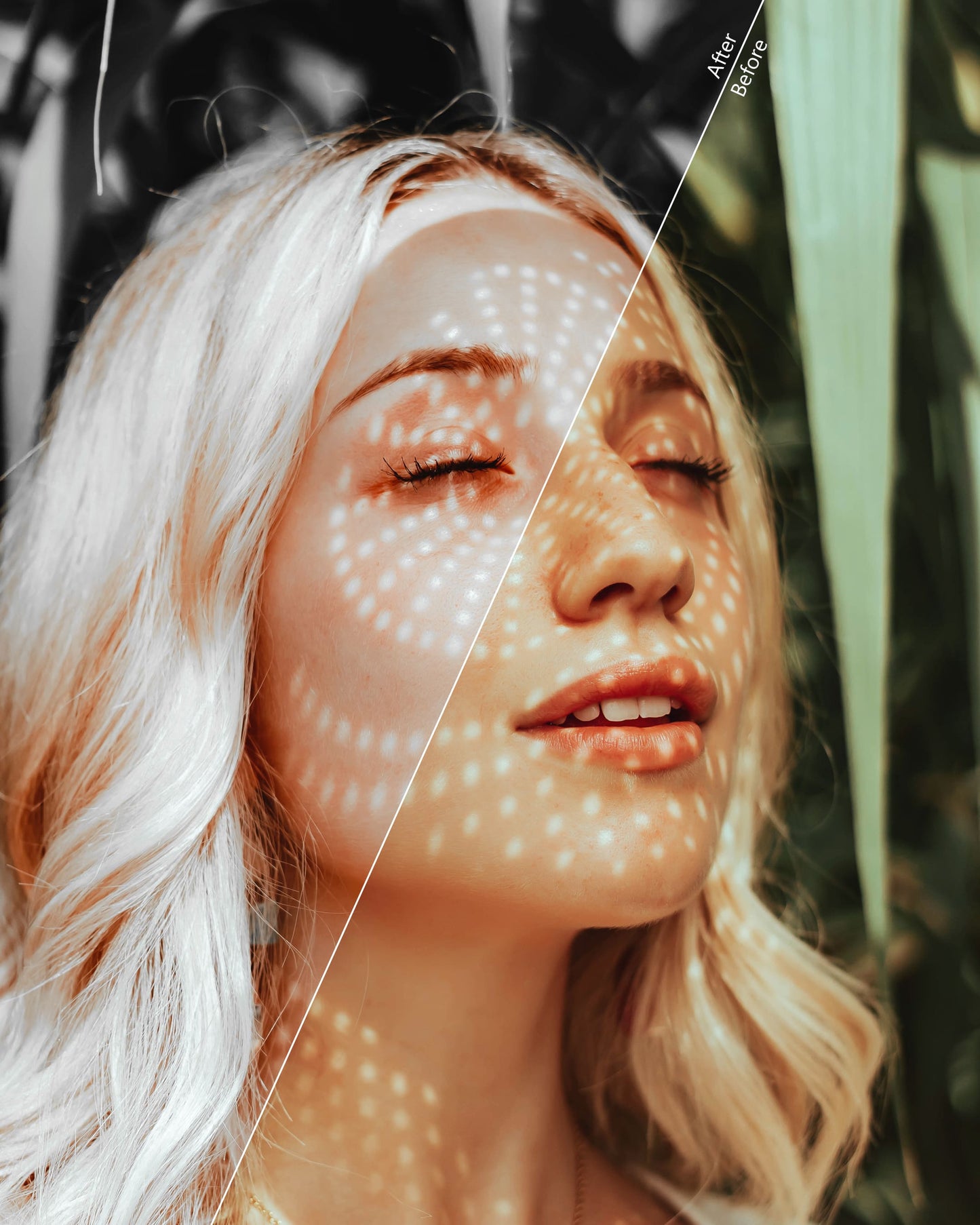 Influencer Bundle