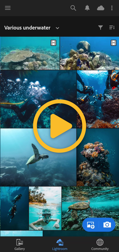 Ocean Bundle
